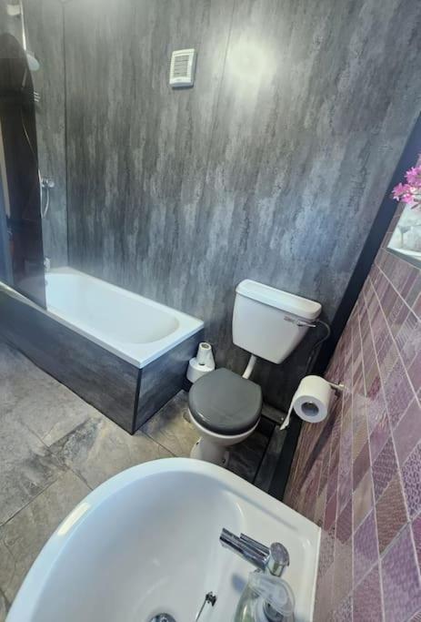 Cosy Cottage In Snowdonia Brynkir Екстериор снимка