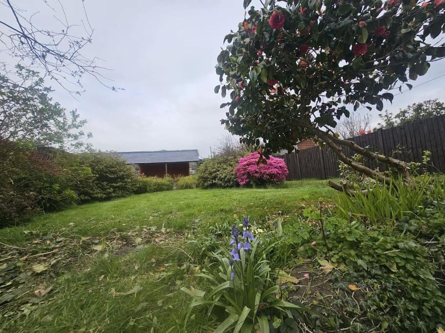 Cosy Cottage In Snowdonia Brynkir Екстериор снимка